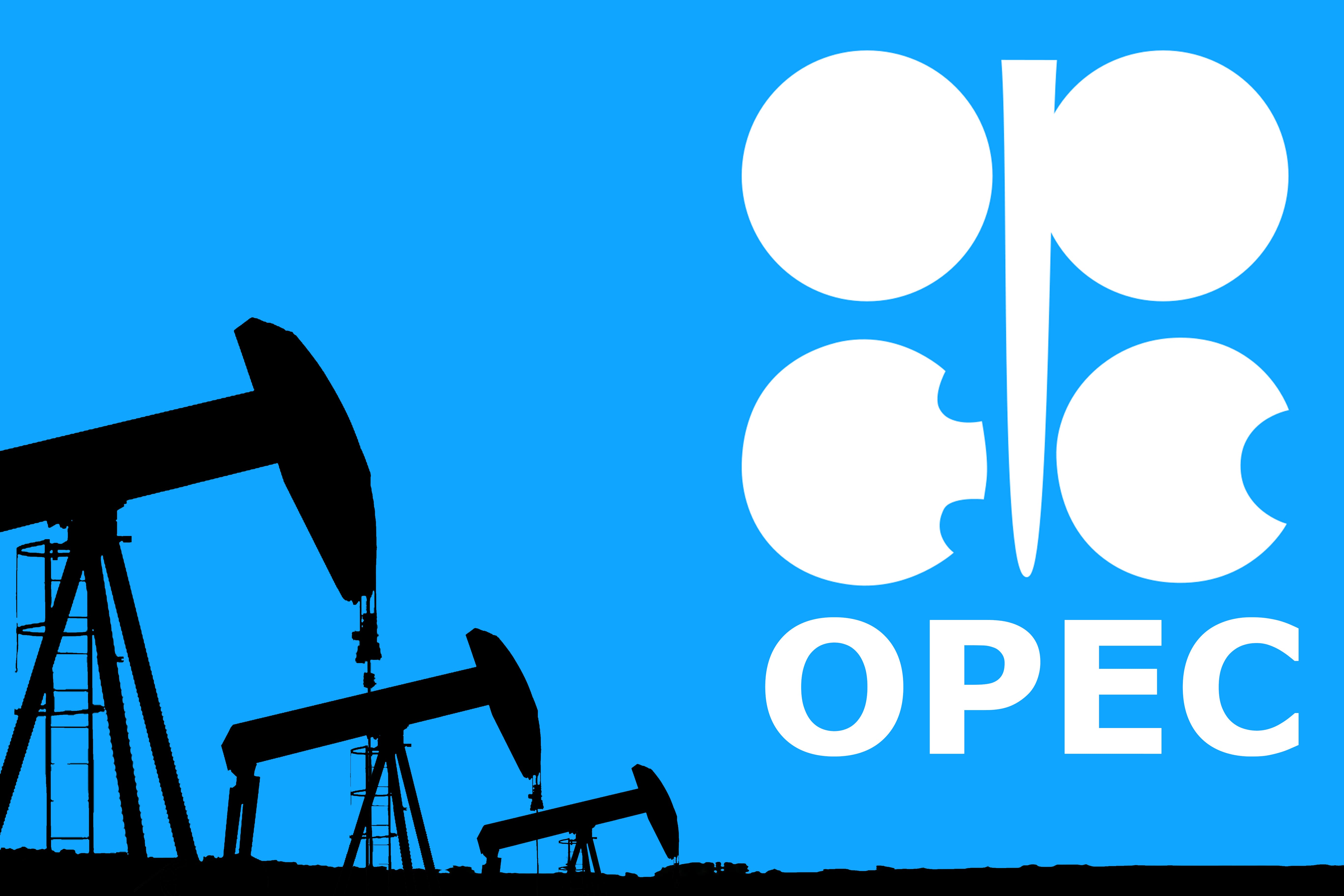 Соглашение о сокращении добычи нефти до конца 2024 года будет соблюдаться — мониторинговый комитет ОПЕК+